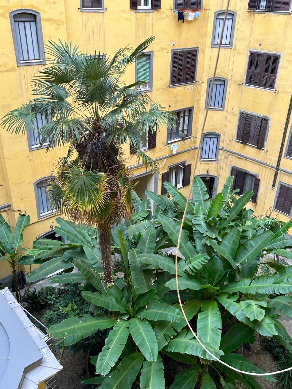 Apartamento Vatican Vittoria Roma